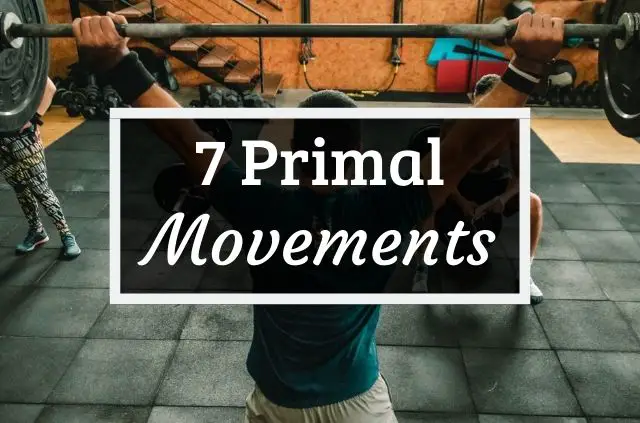 7 primal movements