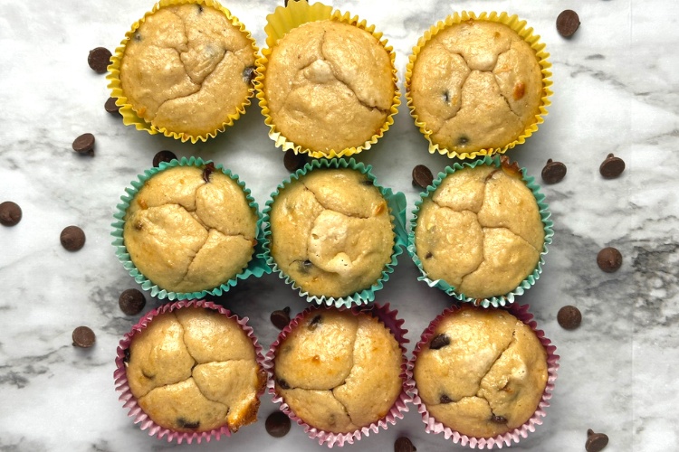 Chocolate Chip Protein Muffins