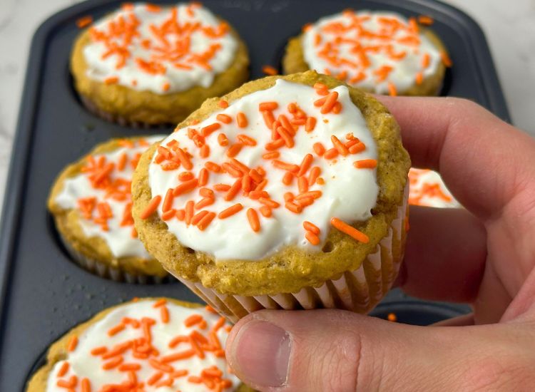 Moist Pumpkin Protein Muffins